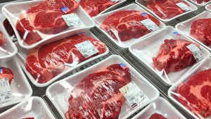 コストコ入間倉庫店 三井アウトレトパーク入間 超渋滞回避法