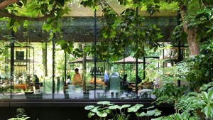 大手町の森に浮かぶ一軒家カフェに行ってみた THE CAFE by AMAN（東京都千代田区）